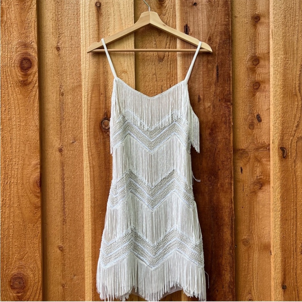 White and Beige Sequin Fringe Flapper Mini Dress ๐ฟ - Picture 11 of 16